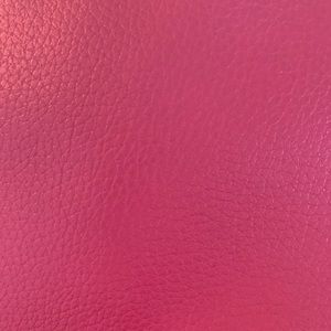 Meet your Posher, Dani